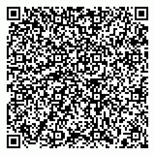 vCard 79397110020