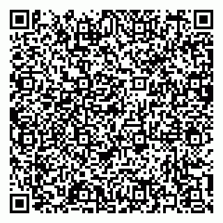 vCard 79397110031