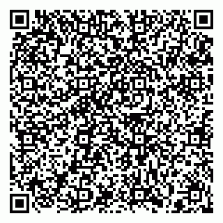 vCard 79397110209