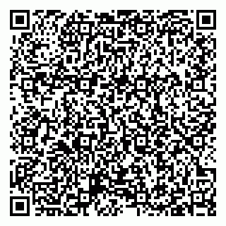 vCard 79397110235