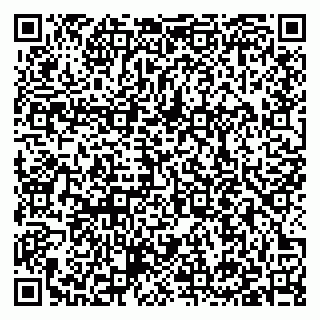 vCard 79397110285