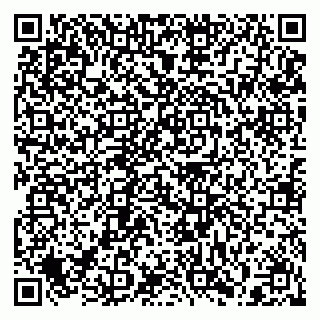 vCard 79397110295