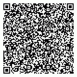 vCard 79397110311