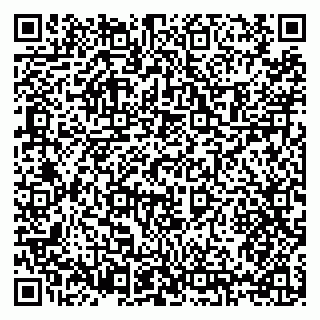vCard 79397110313