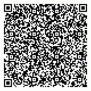 vCard 79397110413