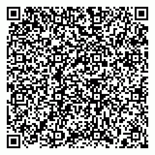 vCard 79397110733