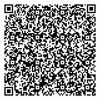 vCard 79397111011