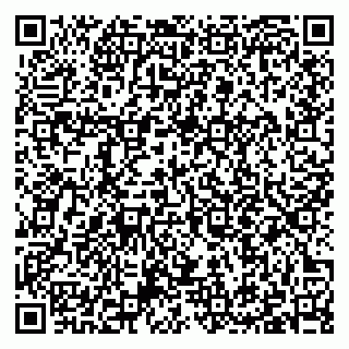 vCard 79397111111
