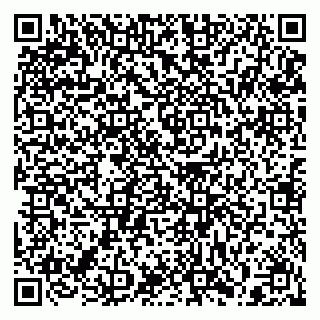 vCard 79397111313