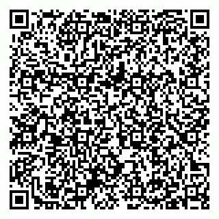 vCard 79397111331