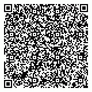 vCard 79397111335
