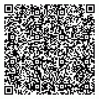 vCard 79397111733