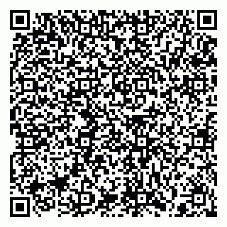 vCard 79397112101