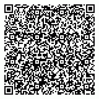 vCard 79397113087
