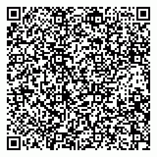 vCard 79397113331