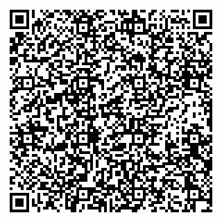 vCard 79397113531