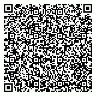 vCard 79397113538