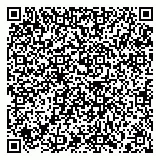 vCard 79397115093