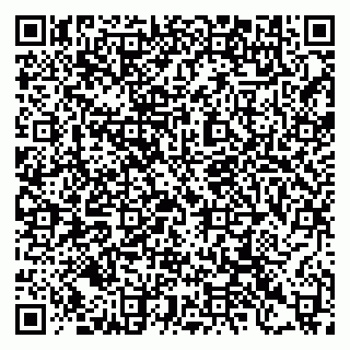 vCard 79397115291