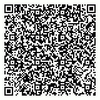 vCard 79397115325