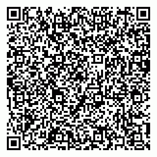vCard 79397115331