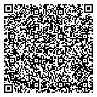 vCard 79397115332