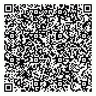 vCard 79397115403
