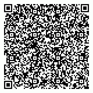 vCard 79397117293