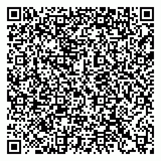 vCard 79397118293