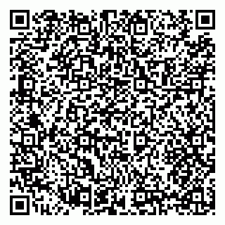 vCard 79397118733