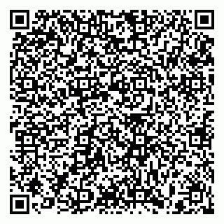 vCard 79397119011