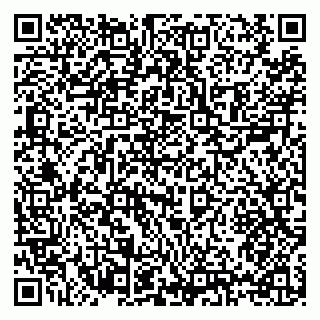 vCard 79397119031
