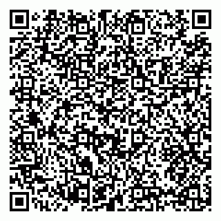 vCard 79397119333