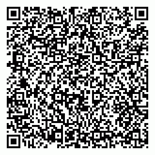 vCard 79397119335
