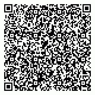 vCard 79397119384