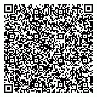vCard 79397119385