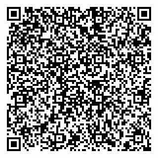 vCard 79397119904