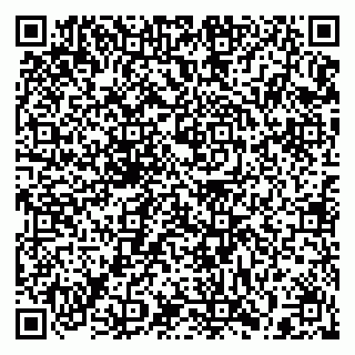 vCard 79397120293