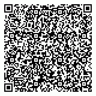 vCard 79397120294