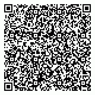 vCard 79397120331