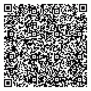 vCard 79397120381