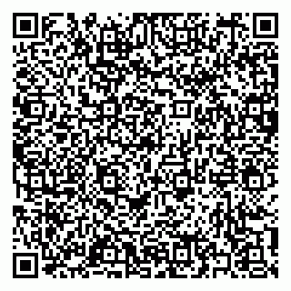 vCard 79397120531