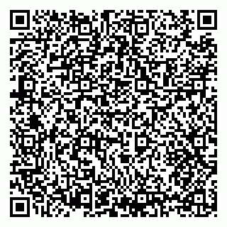 vCard 79397121331