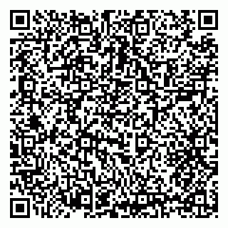 vCard 79397122031