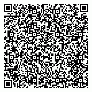 vCard 79397122038