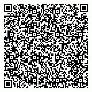 vCard 79397123531