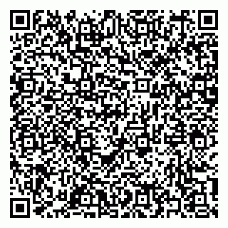 vCard 79397123879