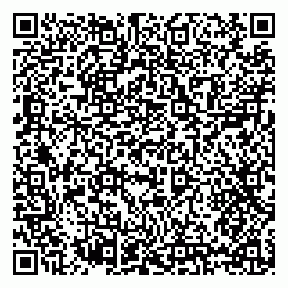 vCard 79397124008
