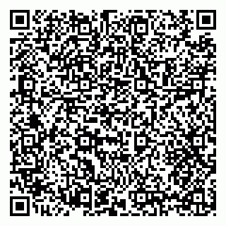 vCard 79397124133