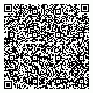 vCard 79397124533